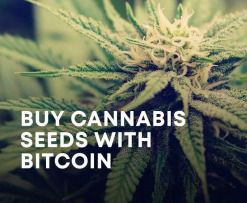 Buy cannabis seeds with bitcoin